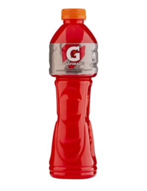 GATORADE FRUIT PONCH 600ML