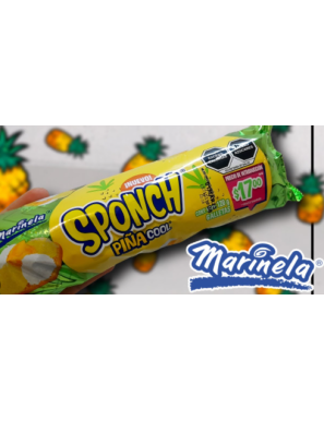 SPONCH DE COCO