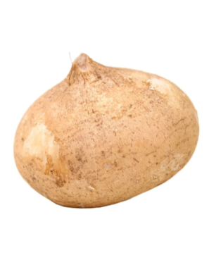 JICAMA UNIDAD