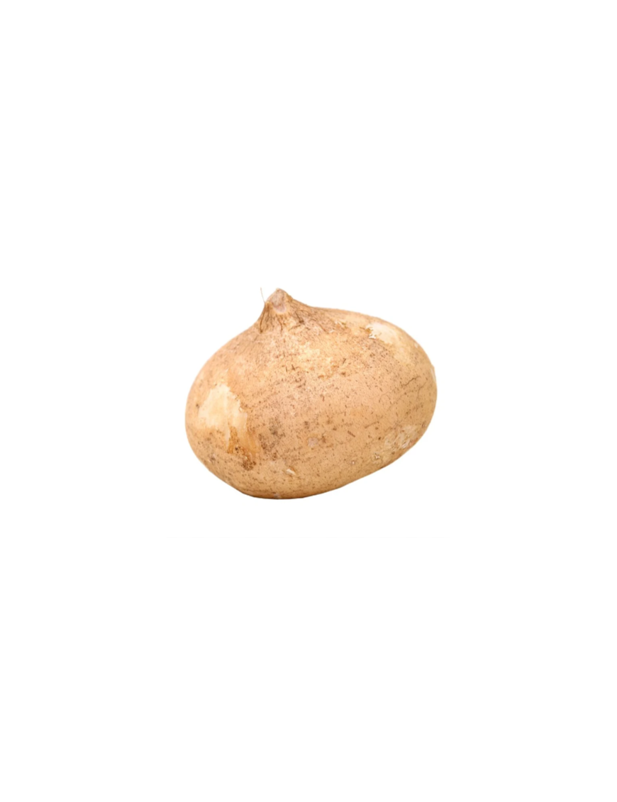 JICAMA UNIDAD