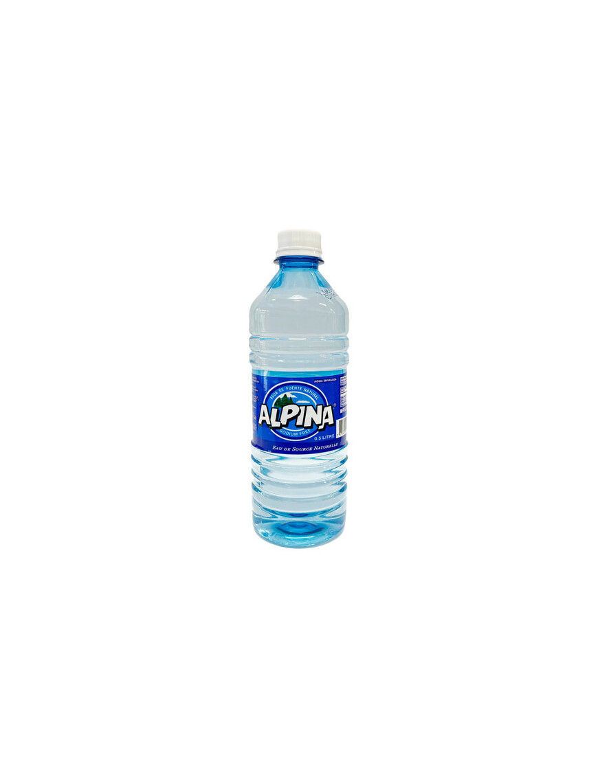 BOTELLA DE AGUA ALPINA 600ML